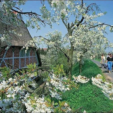 H+ Herzog Widukind 4* Stade